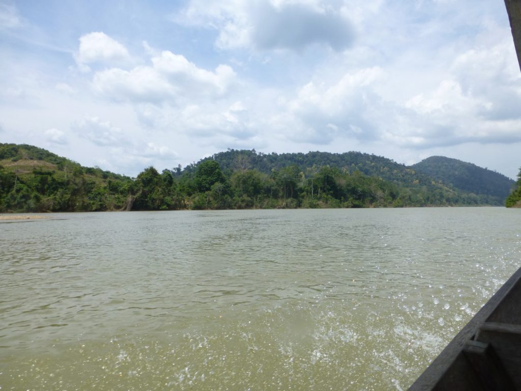Taman Negara - Oudste Jungle ter wereld Taman Negara - Oudste Jungle ter wereld