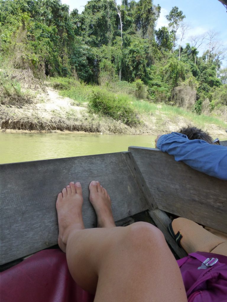 Taman Negara - Oudste Jungle ter wereld