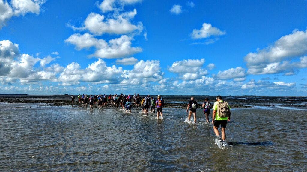 Wadlopen in het unieke Waddengebied van Nederland