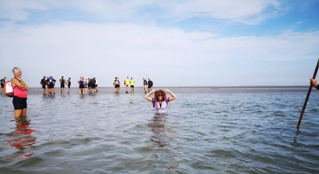 Wadlopen in het unieke Waddengebied van Nederland