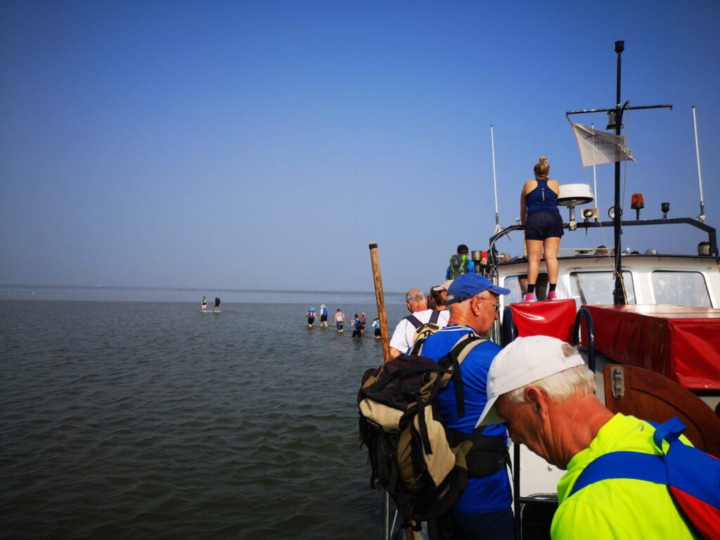 Wadlopen in het unieke Waddengebied van Nederland
