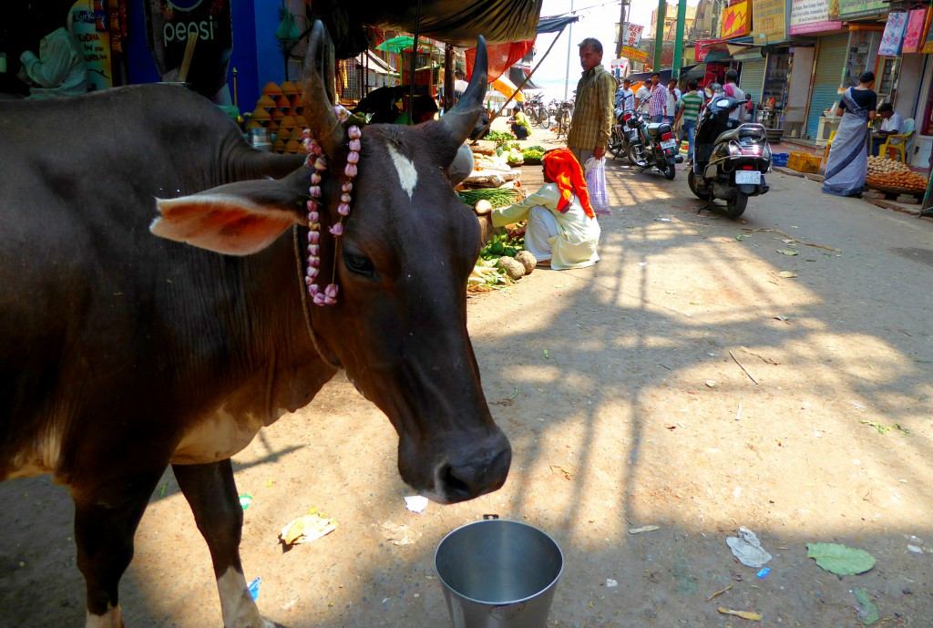 Lokale Kookles in Varanasi - India