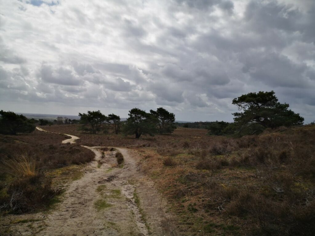 Wandeling net buiten Hellendoorn - Lemelerberg Wandeling net buiten Hellendoorn - Lemelerberg