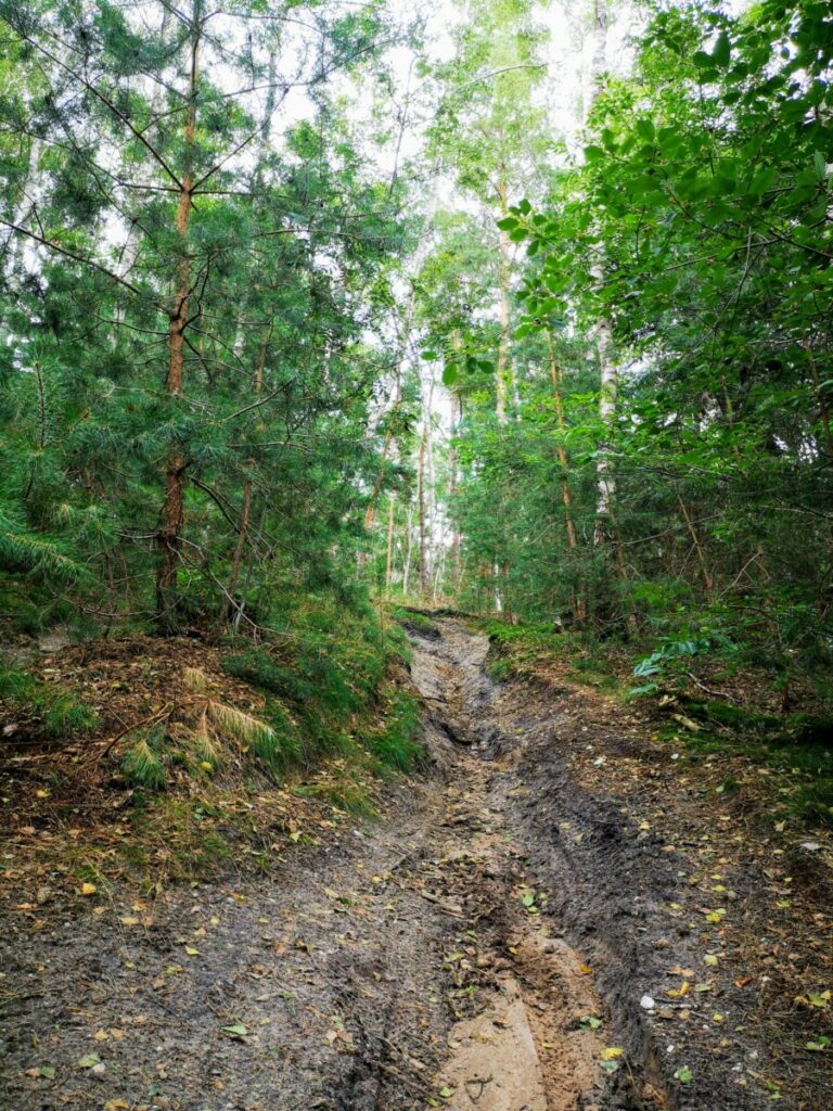 Rondje Hellendoornse Berg - Wandelen in Hellendoorn