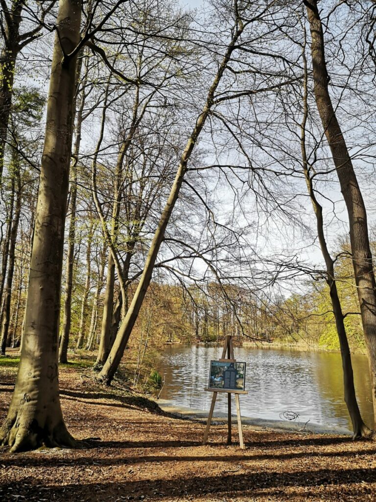 Voorst Etappe 8, Deventer naar Klarenbeek Voorst Etappe 8 - Deventer - Klarenbeek