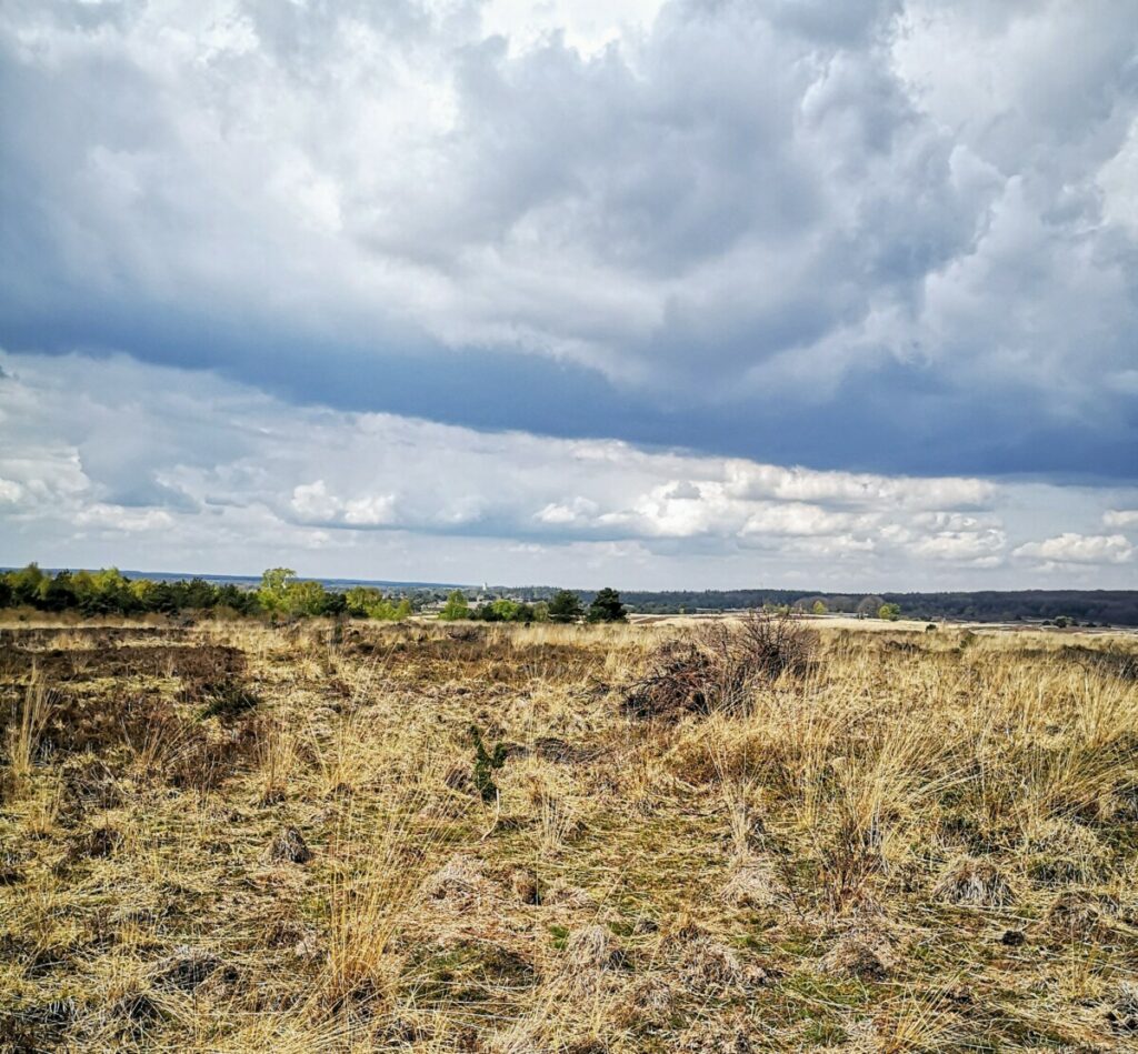 Zandverstuivingen Kootwijkerzand - Veluwe