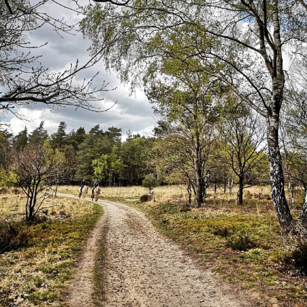 Heerlijk wandelen op het Marskramerpad Heerlijk wandelen op het Marskramerpad