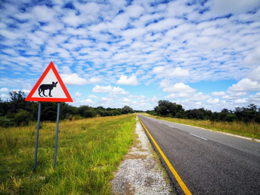 De lange en goede wegen van Namibië