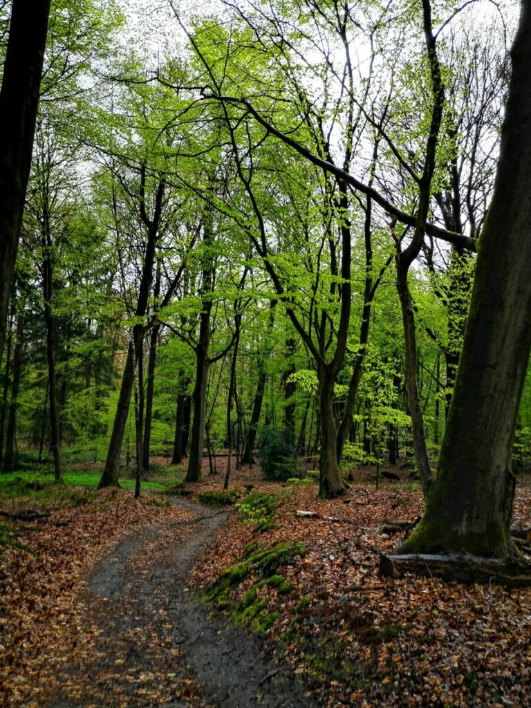 Zinvol Wandelen in Twente Zinvol Wandelen in Twente