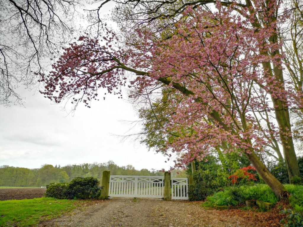 Entree villa Hakenberg - De Lutte Hakenberg