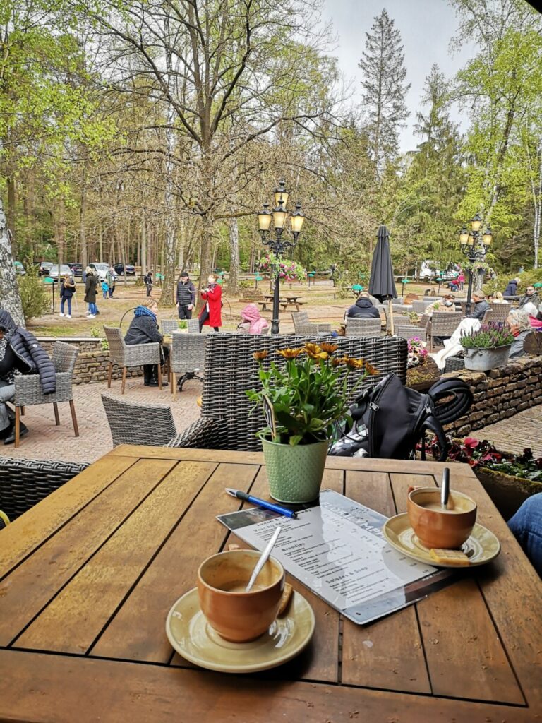 Terras van Florilympha - Lutterzand 10 km De Lutte Florilympha