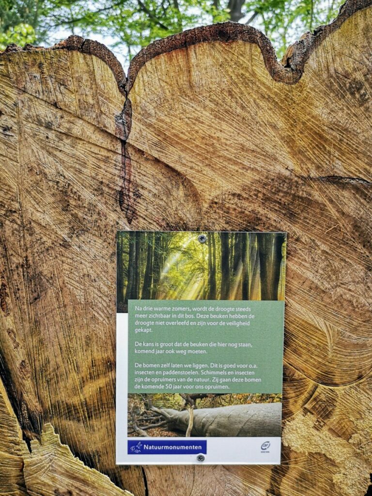 Door droogte van een paar jaar achtereen zijn er veel bomen gekapt uit voorzorg