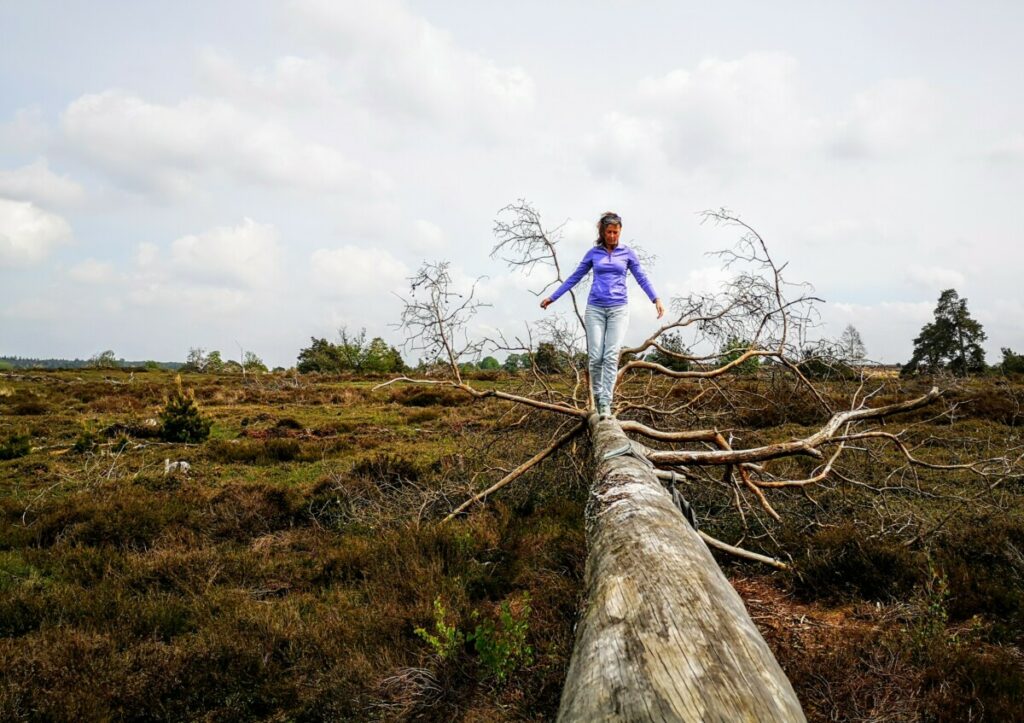 Even spelen en balansen onder het wandelen over de heide Even spelen en balansen onder het wandelen over de heide