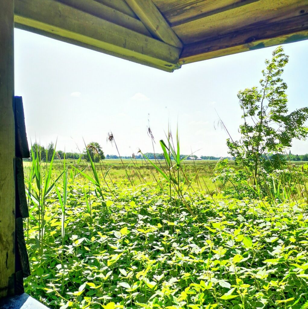 Observatiepunt Emmertochtsloot Observatiepunt Emmertochtsloot