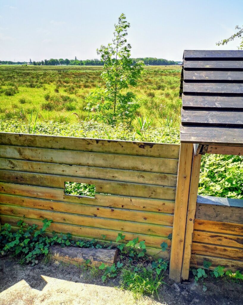 Overijsselse Buitenplaatsen NS Wandeling Wandelen naar Zwolle