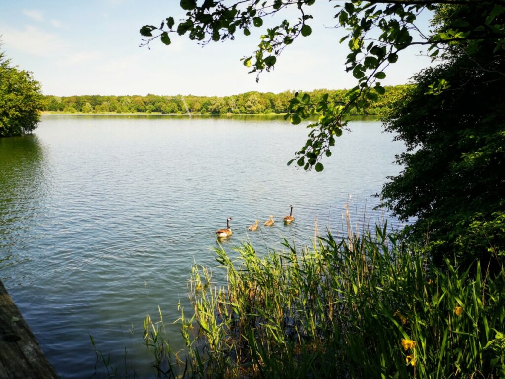 Overijsselse Buitenplaatsen NS Wandeling