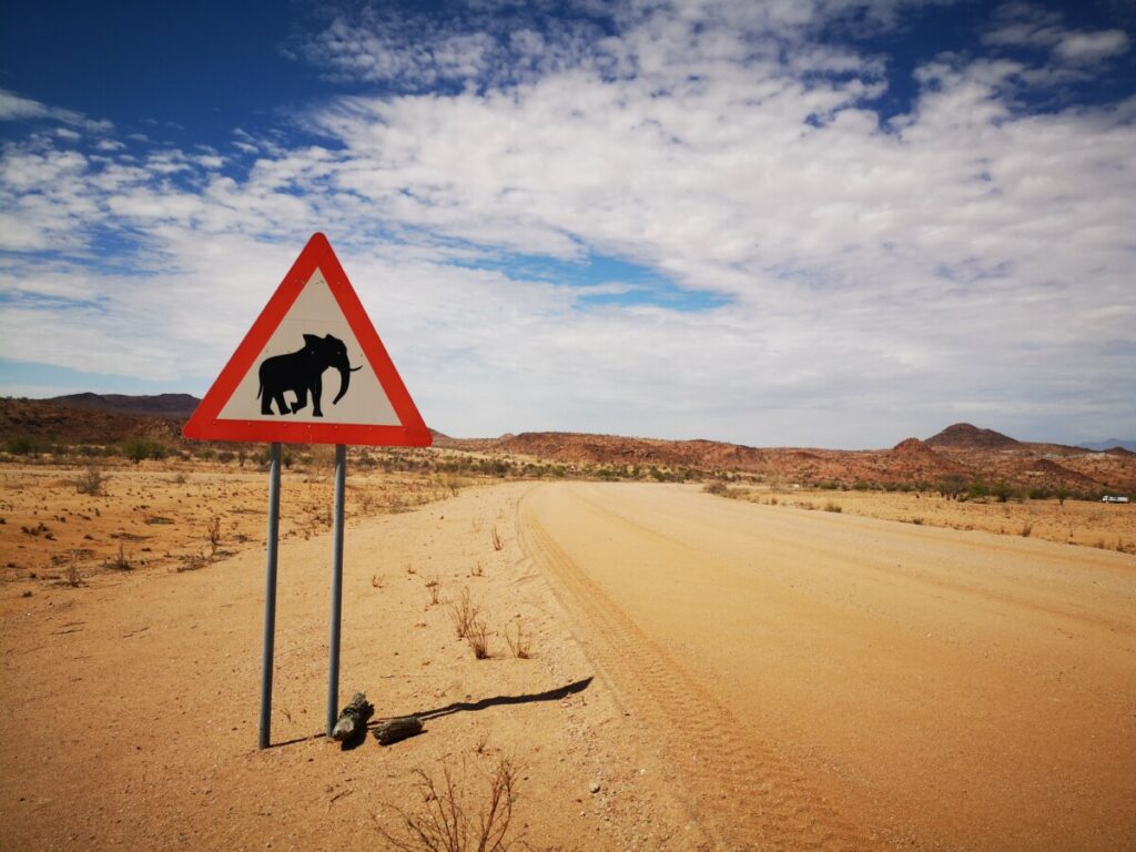 Hoogtepunten Damaraland - Lange uitgestrekte wegen in de woestijn Hoogtepunten Damaraland - Lange uitgestrekte wegen in de woestijn