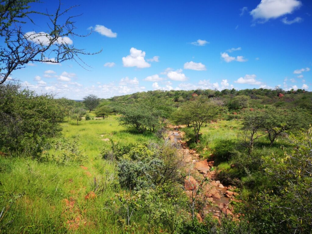 Natuur rondom Waterberg Plateau National Park Natuur rondom Waterberg Plateau National Park