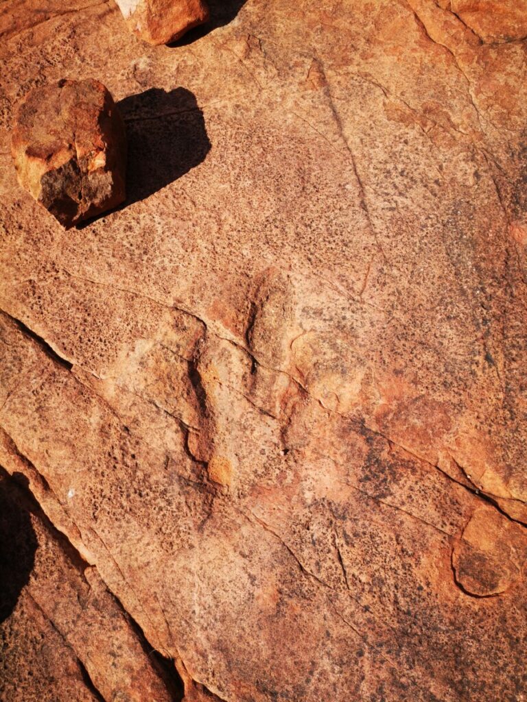 Dinosaurus voetafdruk bij Mt Etjo Dinosaurus voetafdruk bij Mt Etjo