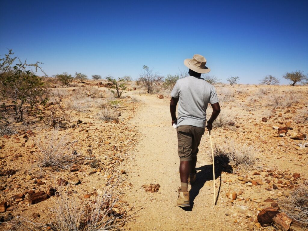 Petrified Forest/ Versteend bos - Bezoek Damaraland Petrified Forest/ Versteend bos - Bezoek Damaraland