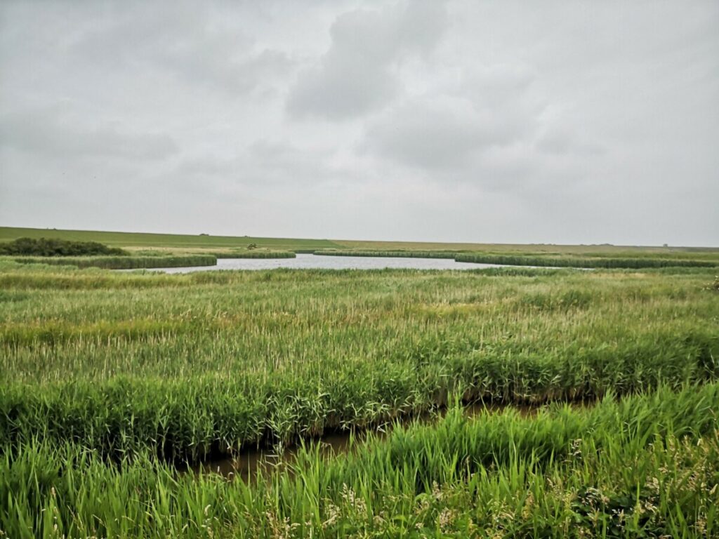 Wandelen op de Wadden - Streekpad Waddenwandelen - 4 Etappes Rondje Texel - 76 km