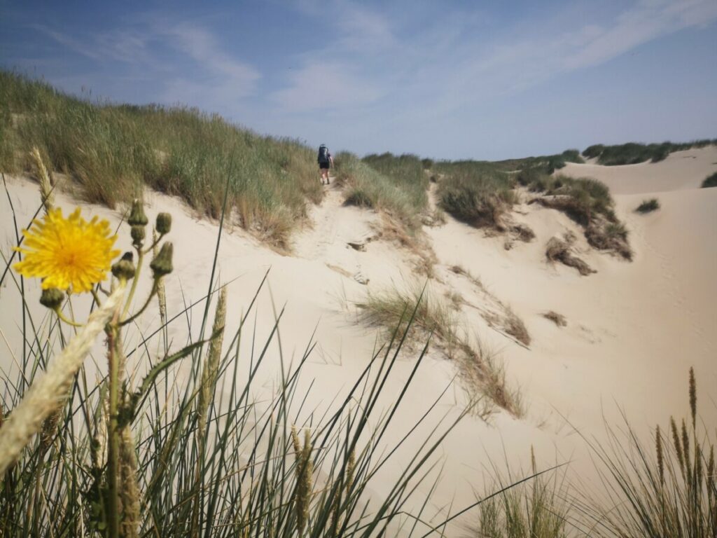 Wandelen op de Wadden - Streekpad Waddenwandelen - 4 Etappes Rondje Texel - 76 km