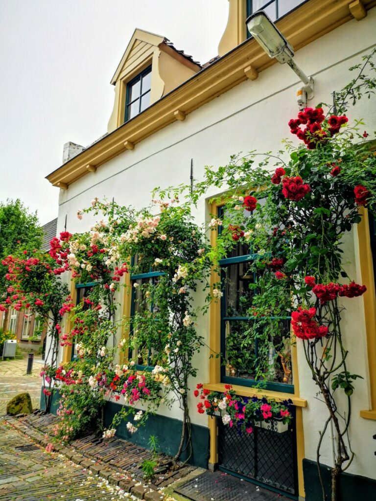 Stadswandeling Hanzestad Zutphen