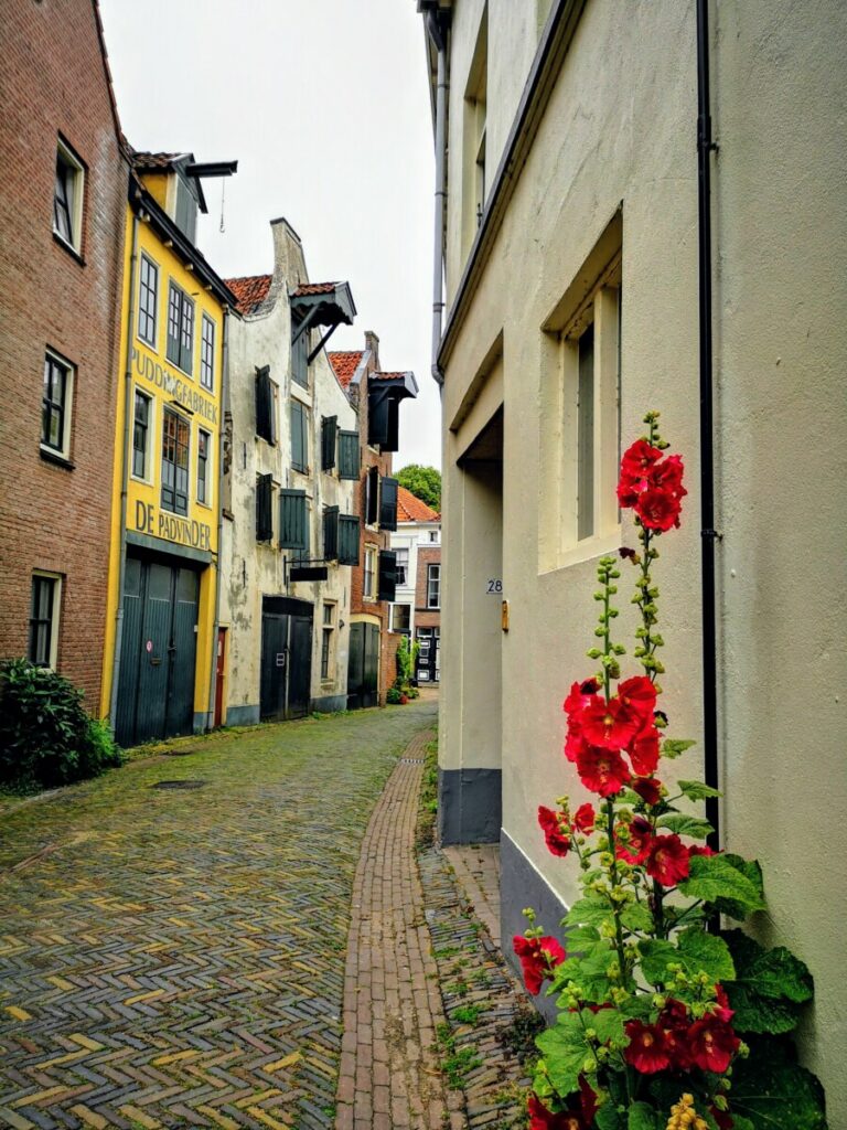 Stadswandeling Hanzestad Zutphen