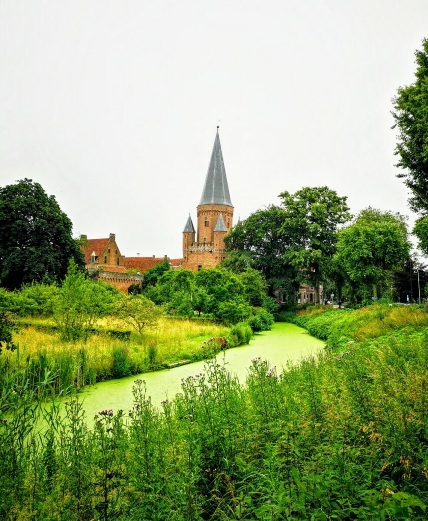 Stadswandeling Hanzestad Zutphen