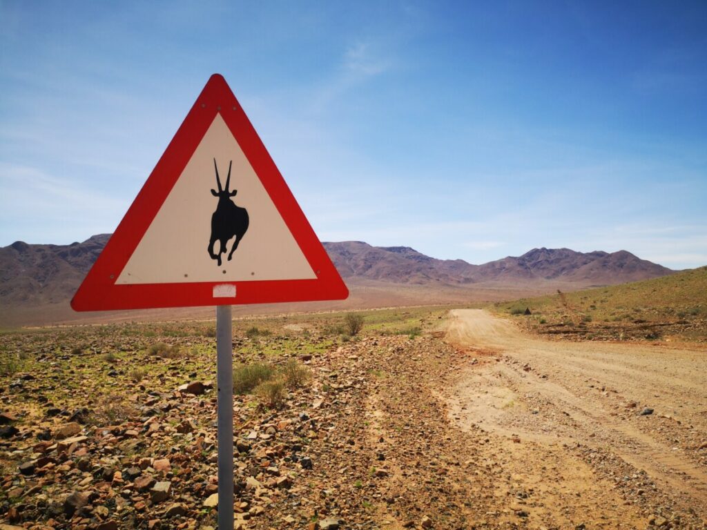 De verkeersborden die je onderweg in Namibie tegenkomt De verkeersborden die je onderweg in Namibie tegenkomt