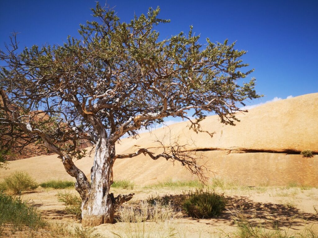 Rondrijden tijdens jou bezoek aan Spitzkoppe Rondrijden tijdens jou bezoek aan Spitzkoppe