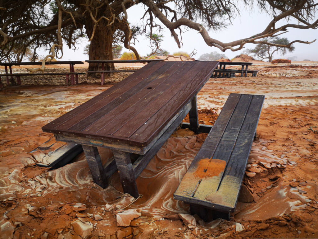 De regen heeft er flinke schade aangericht - Deadvlei - Sossusvlei De regen heeft er flinke schade aangericht - Deadvlei - Sossusvlei