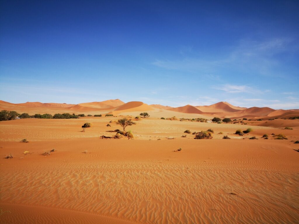 In the Middle of Nowhere - Deadvlei In the Middle of Nowhere - Deadvlei