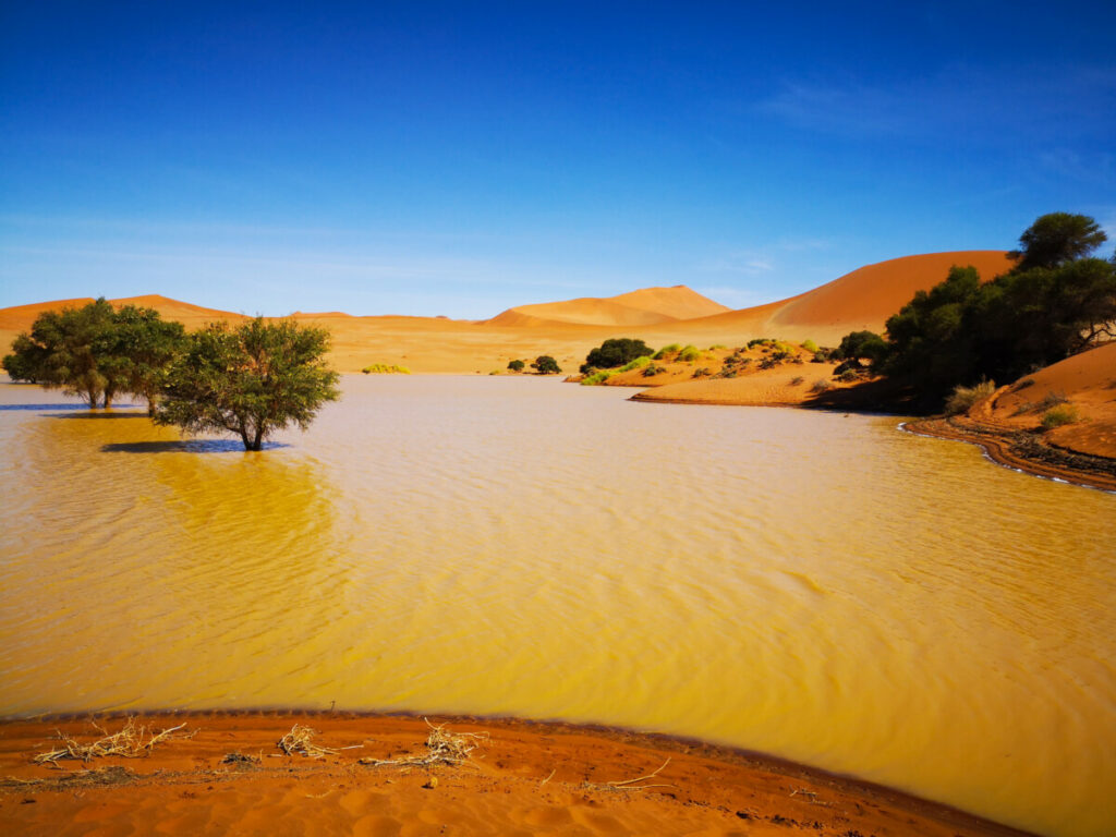 Ik zag meerdere meren in de Deadvlei en Sossusvlei Ik zag meerdere meren in de Deadvlei en Sossusvlei