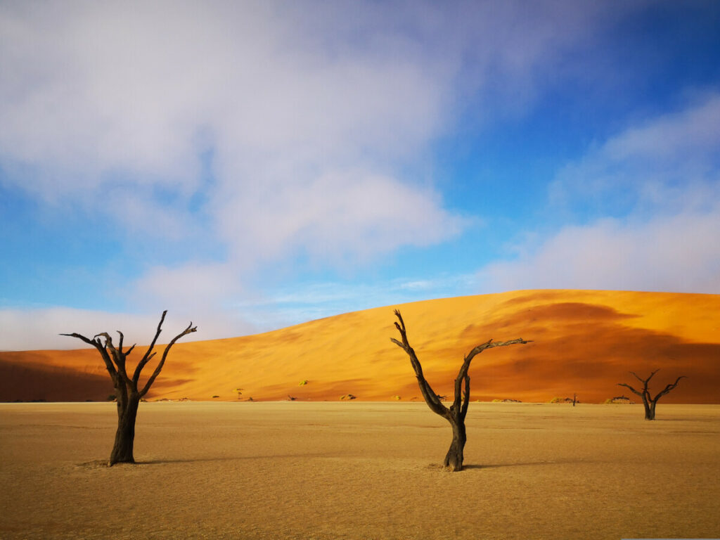 Deadvlei Namibië - Meest iconische plekje van Namibië Deadvlei Namibië - Meest iconische plekje van Namibië