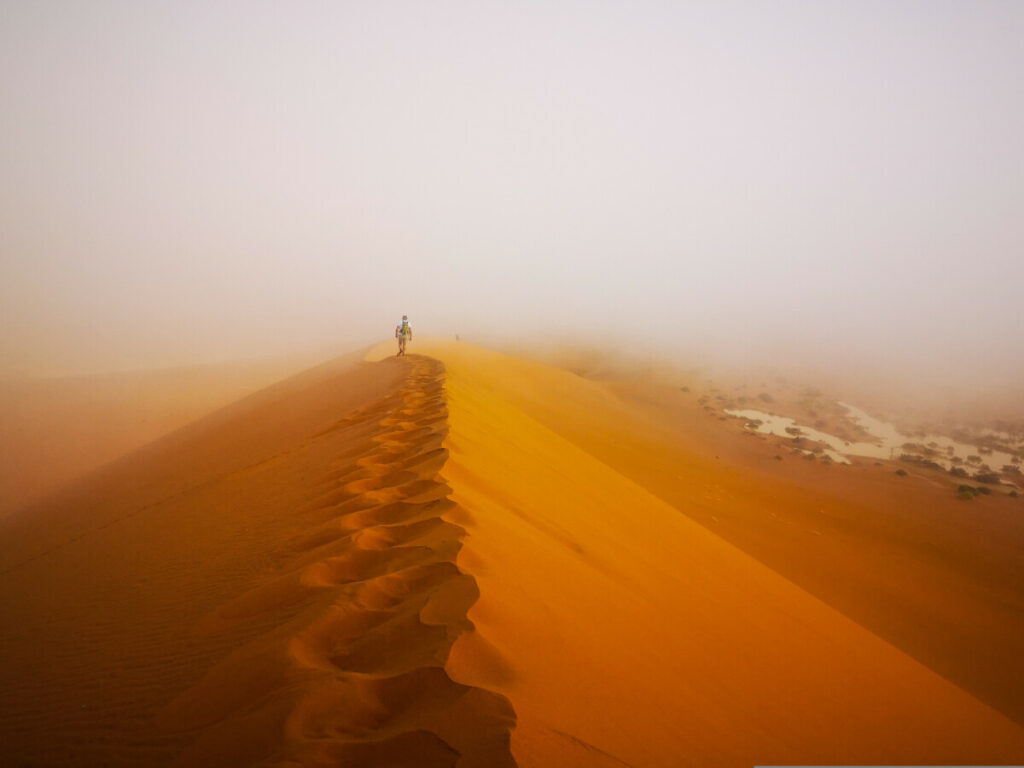 Deadvlei Namibië - Meest iconische plekje van Namibië Deadvlei Namibië - Meest iconische plekje van Namibië