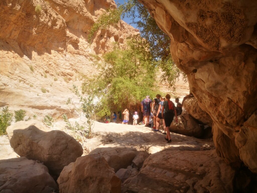 Wadi Bani Khalid - Oman Wadi Bani Khalid - Oman