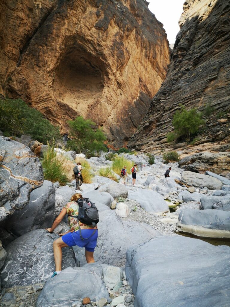 Snake Canyon Hike