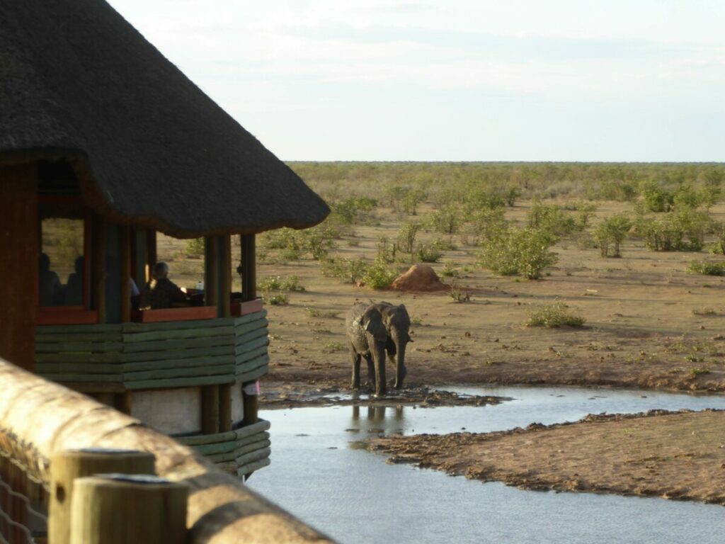 Olifant bij Olifantsrus - Namibie Olifant bij Olifantsrus - Namibie