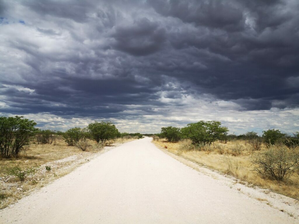 Dreigende wolken tijdens mijn safari in Etosha NP - Namibie Dreigende wolken tijdens mijn safari in Etosha NP - Namibie