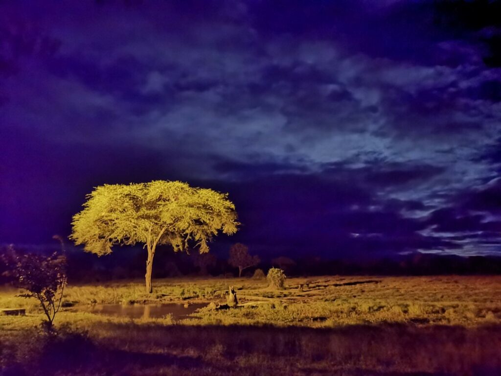 De waterplaats bij Senyati - Botswana