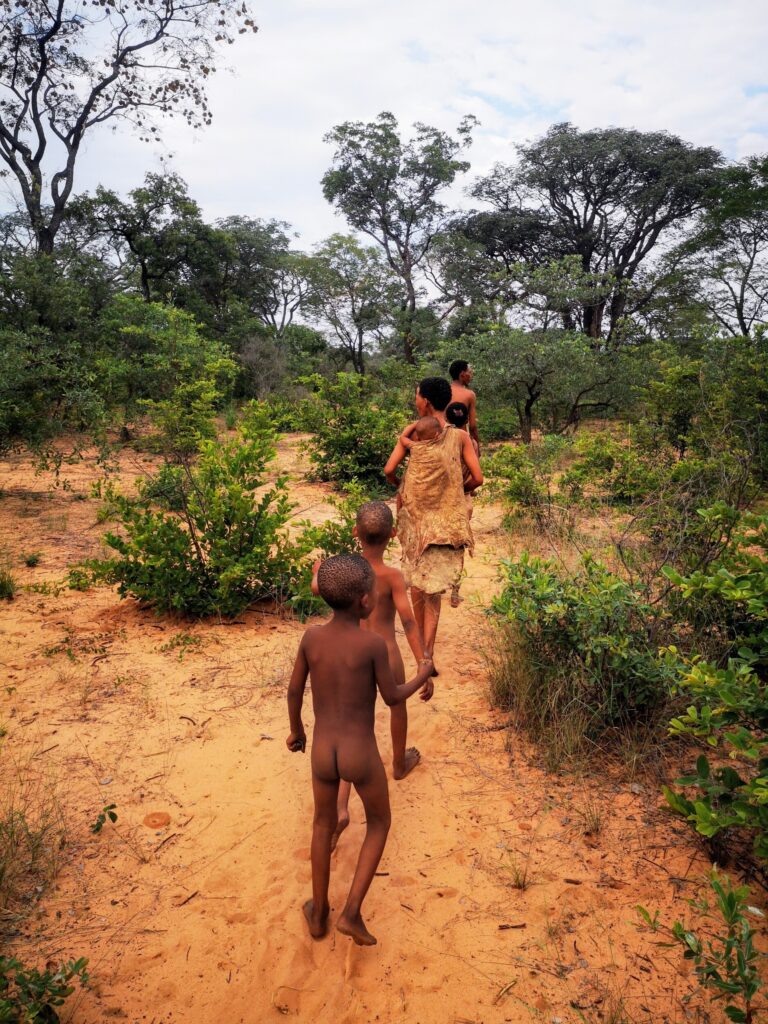 Bushwalk bij de Ju/Hoansi-San - lokaal verblijf bij de San stam - Grashoek - Namibie Bushwalk bij de Ju/Hoansi-San - lokaal verblijf bij de San stam - Grashoek - Namibie