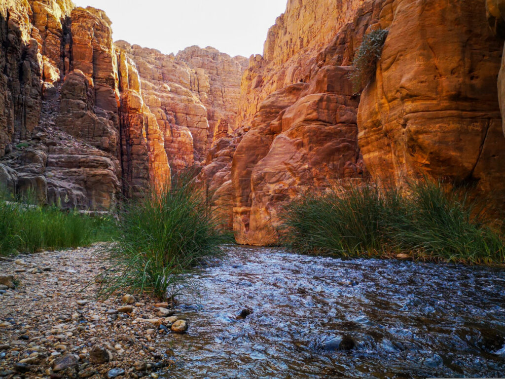 De mooiste wadi van Jordanië - Ga het avontuur aan in de Wadi Mujib De mooiste wadi van Jordanië - Ga het avontuur aan in de Wadi Mujib