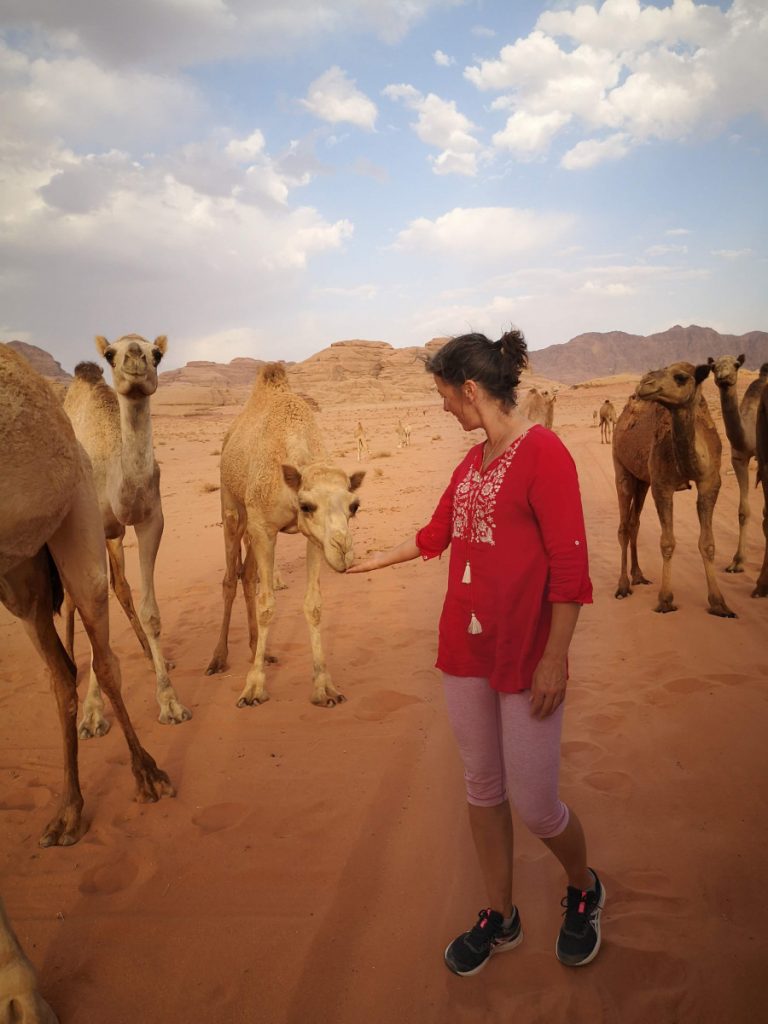 Mohammed laat ons kennis maken met de Wadi Rum kamelen Mohammed laat ons kennis maken met de Wadi Rum kamelen