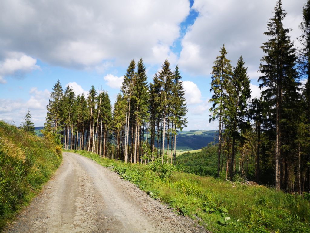 Wandelen rondom Winterberg, Duitsland - De Winterberger Hochtour wandelen - Wandelen over de skipistes van Winterberg - Duitsland Wandelen rondom Winterberg, Duitsland - De Winterberger Hochtour wandelen - Wandelen over de skipistes van Winterberg - Duitsland