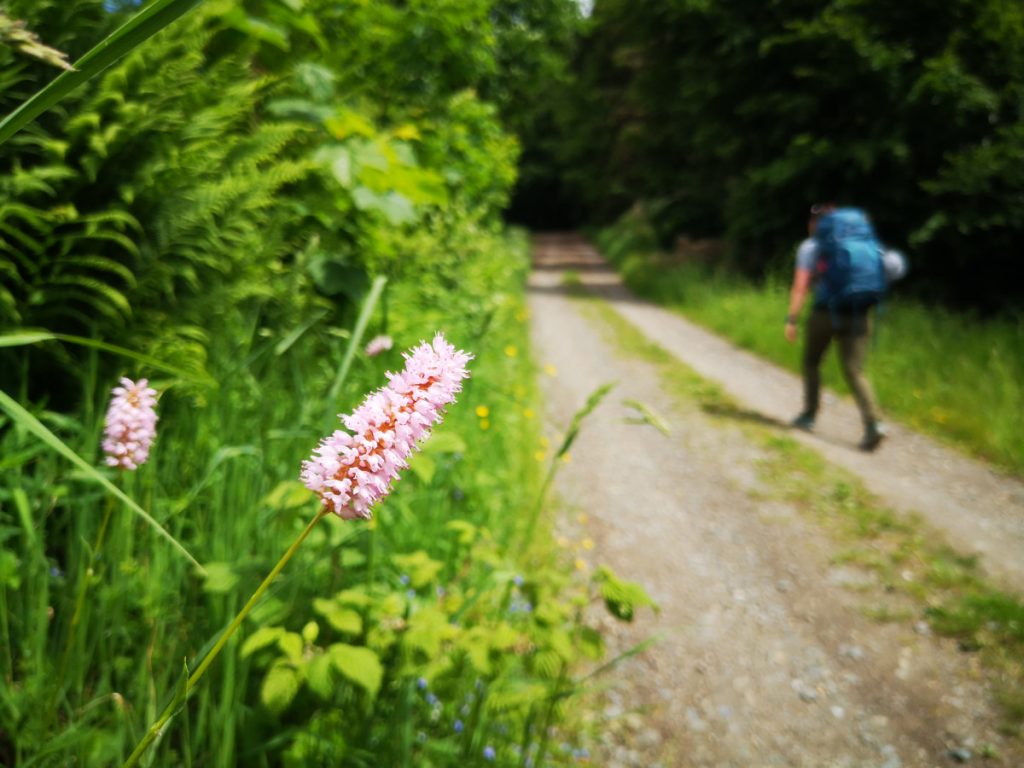 Wandelen rondom Winterberg, Duitsland - De Winterberger Hochtour wandelen - Wandelen over de skipistes van Winterberg - Duitsland Wandelen rondom Winterberg, Duitsland - De Winterberger Hochtour wandelen - Wandelen over de skipistes van Winterberg - Duitsland