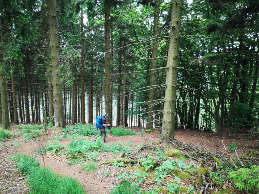 Wandelen rondom Winterberg, Duitsland - De Winterberger Hochtour wandelen - Wandelen over de skipistes van Winterberg - Duitsland Wandelen rondom Winterberg, Duitsland - De Winterberger Hochtour wandelen - Wandelen over de skipistes van Winterberg - Duitsland