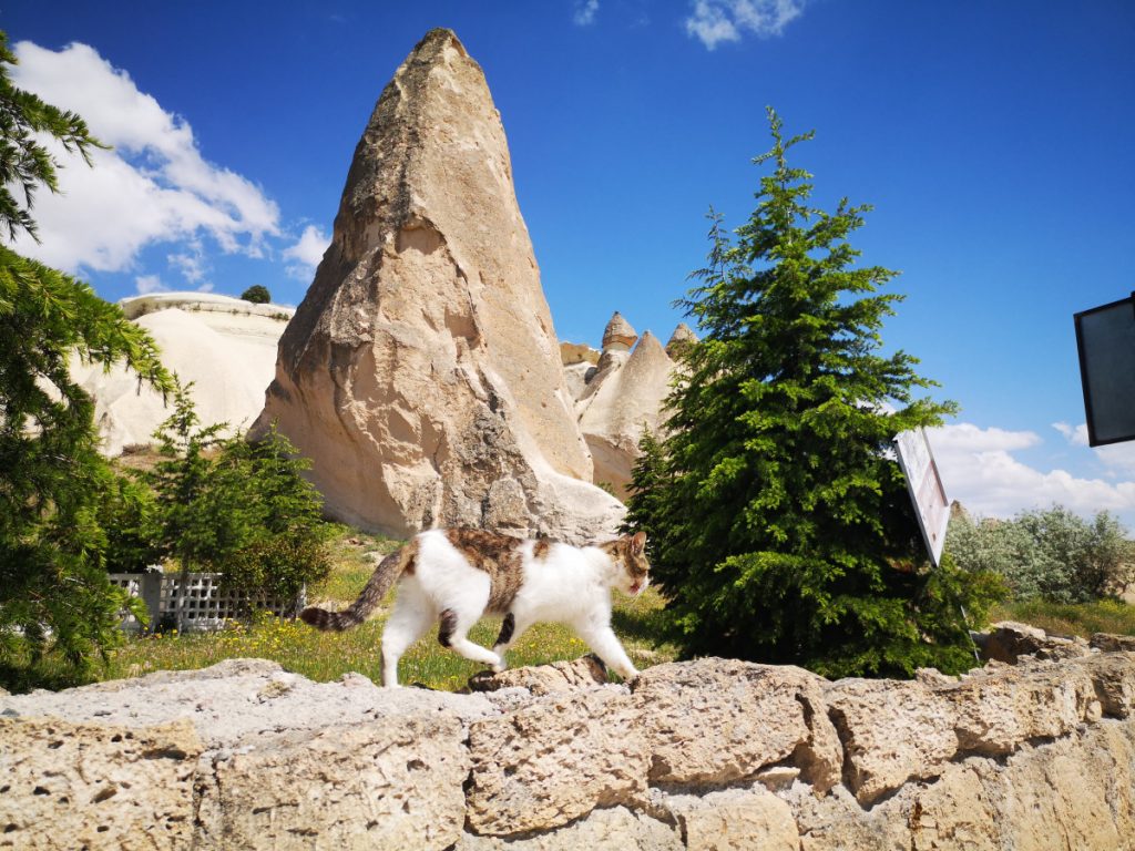 Net buiten Çavuşin bij de begraafplaats - Cappadocië Net buiten Çavuşin bij de begraafplaats - Cappadocië