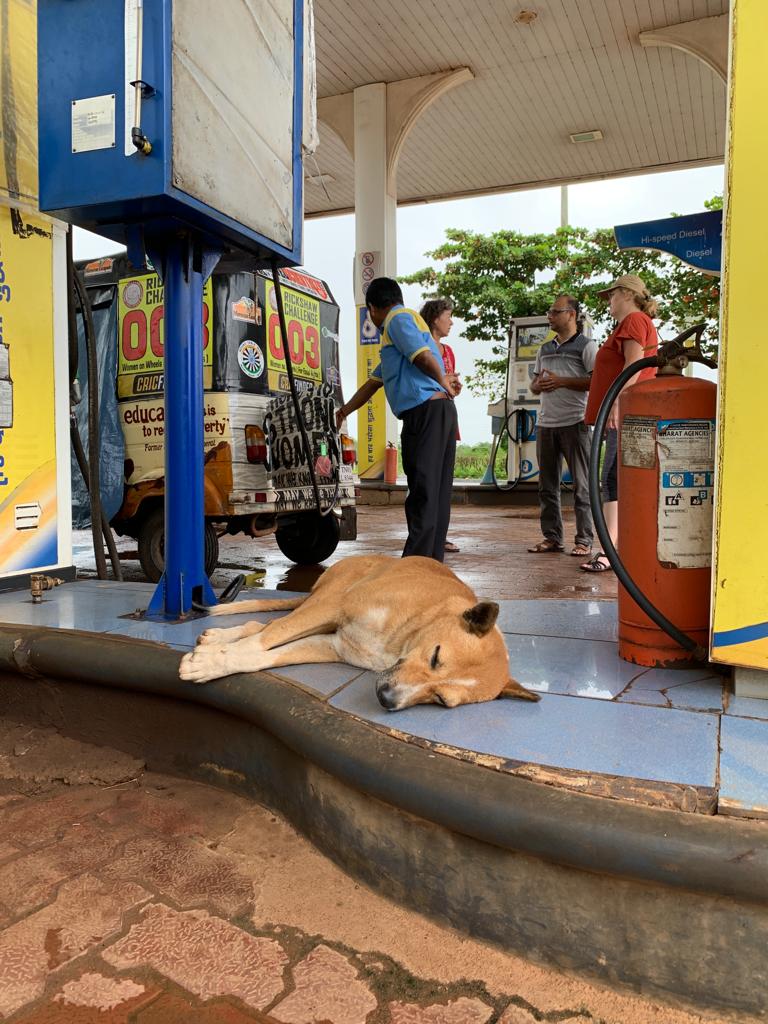 Rickshaw Challenge MumbaiXpress - Onderweg gesprekken met locals Rickshaw Challenge MumbaiXpress - Onderweg gesprekken met locals
