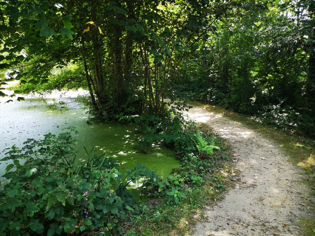 Wandelen buiten de Binnenstad van Nijmegen - Wandelen op het Ooijpad - 17 km - Zinvol Reizen